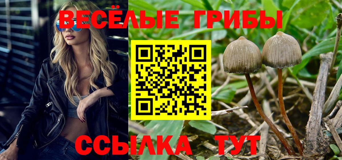 Псилоцибиновые грибы Magic Shrooms Электросталь